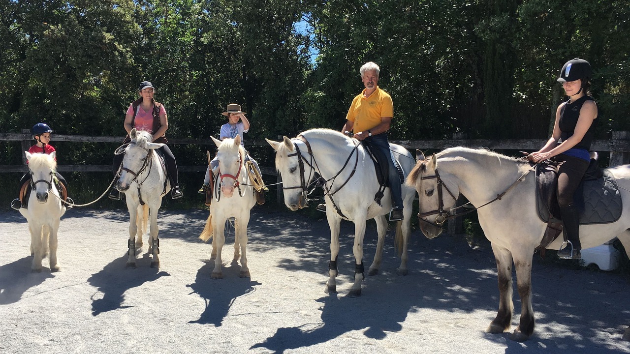 Photo of Others in Sardan