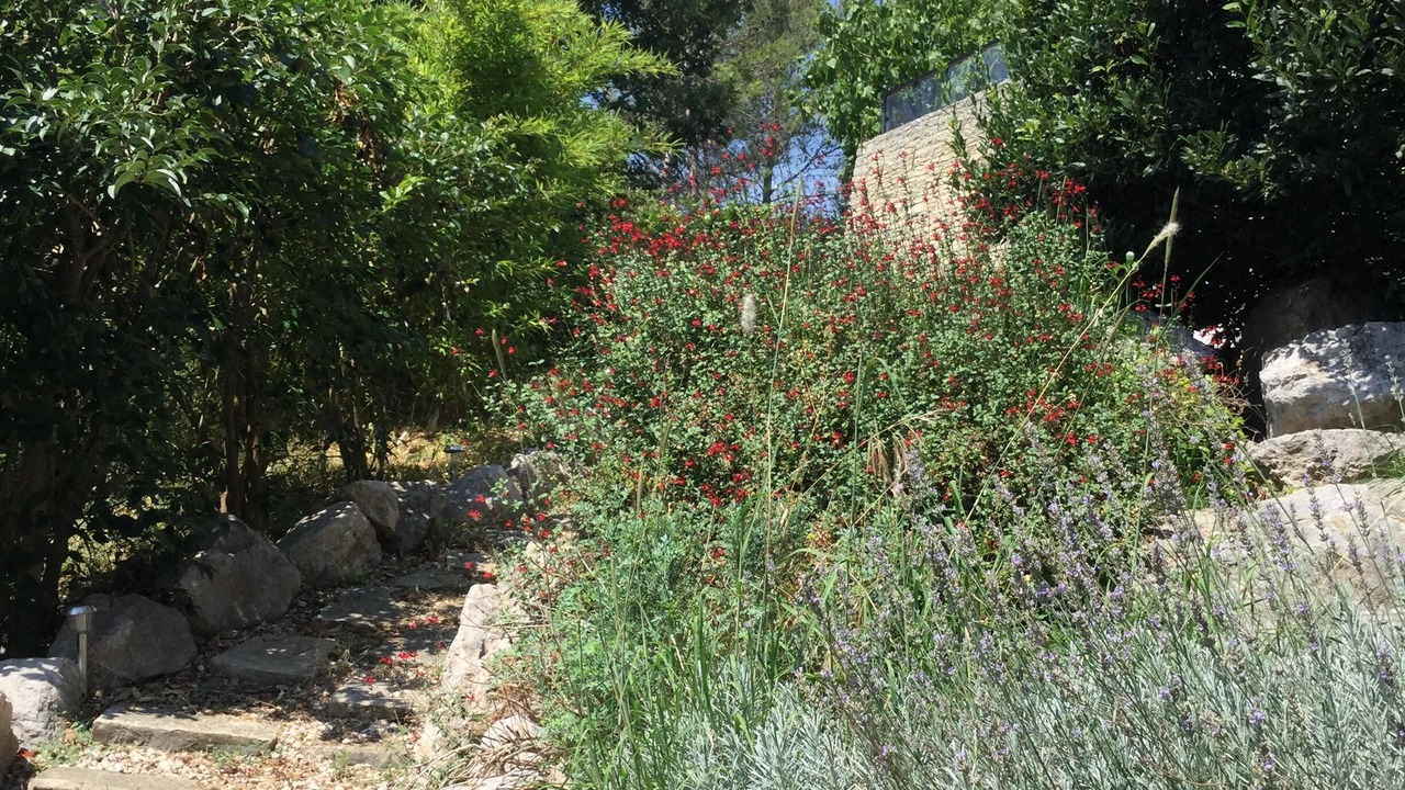 Photo of Outdoor in Saint-Clement-de-Riviere