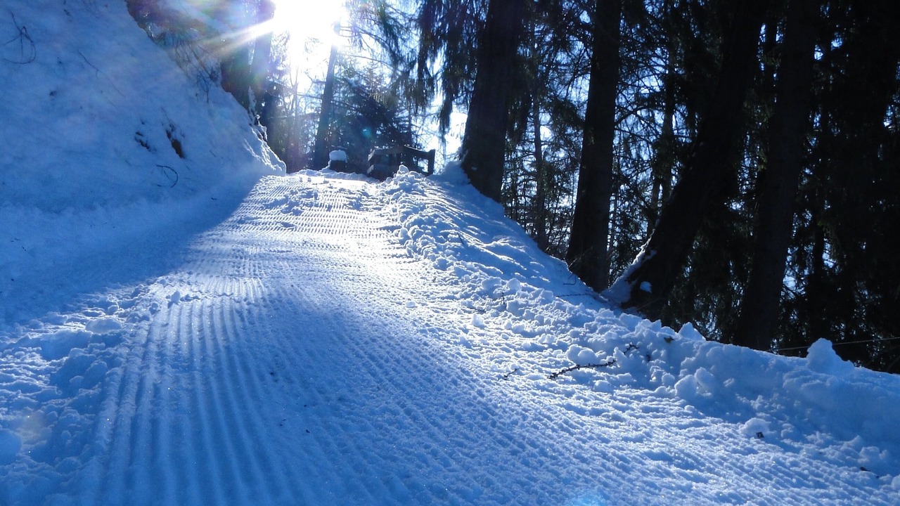 Photo of Others in Nendaz