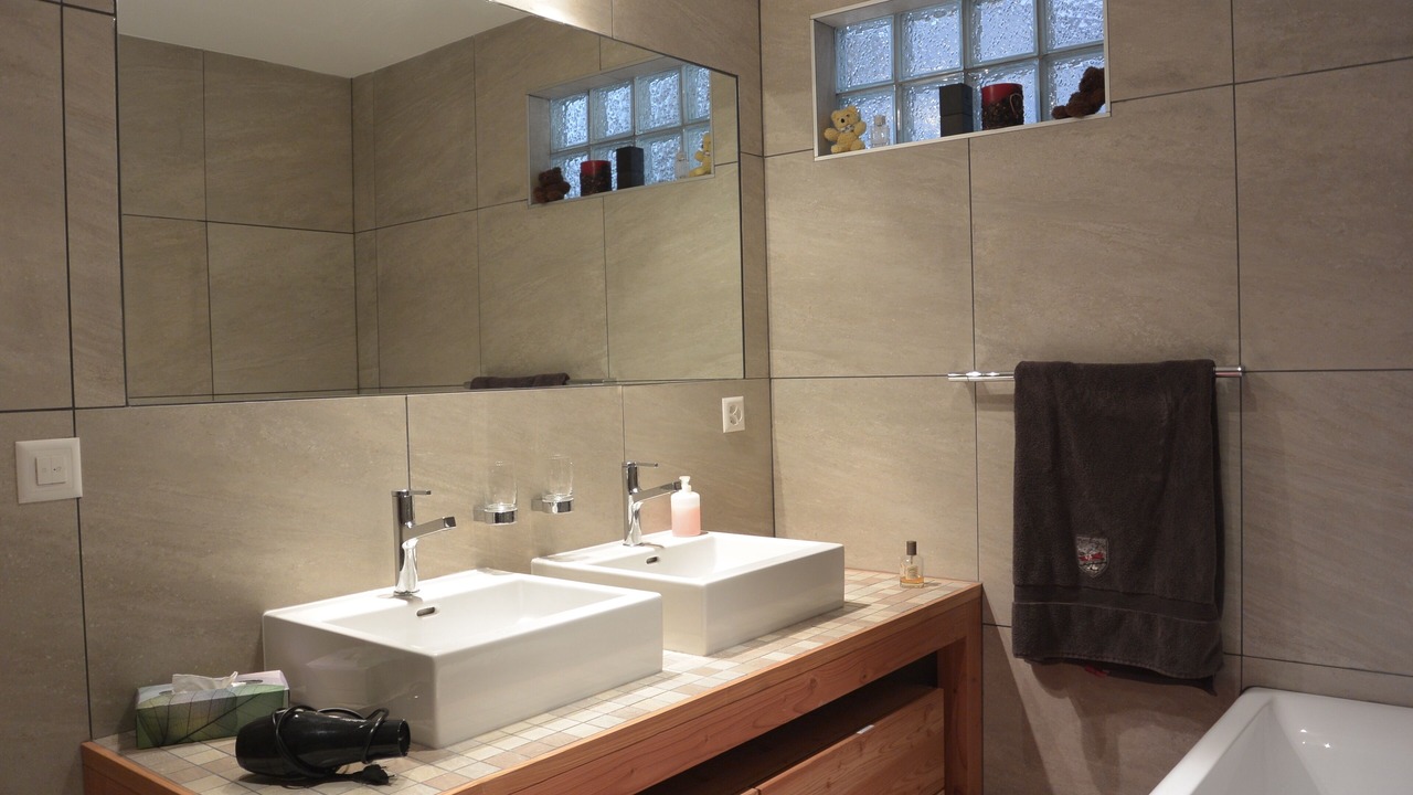 Photo of Bathroom in Nendaz