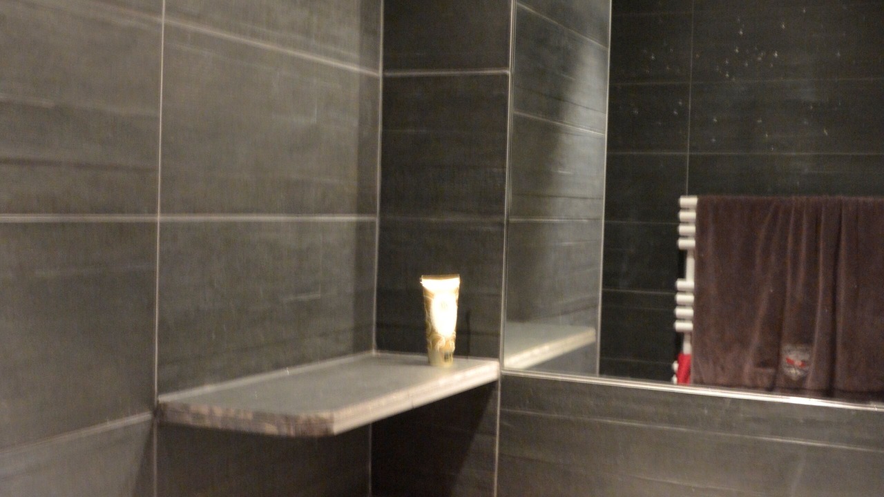 Photo of Bathroom in Nendaz