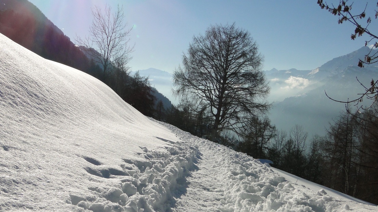Photo of Others in Nendaz