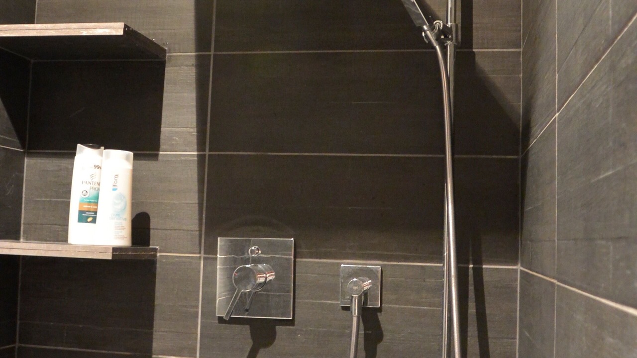 Photo of Bathroom in Nendaz