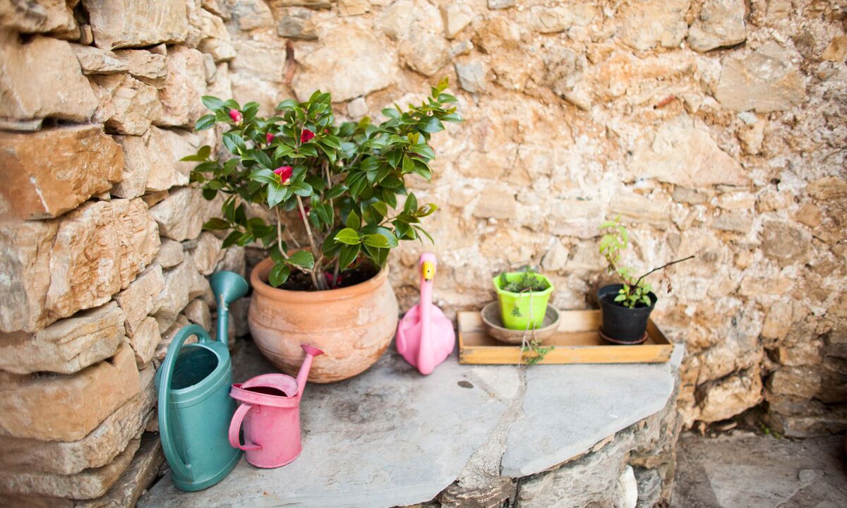 Photo of Outdoor in Roquedur