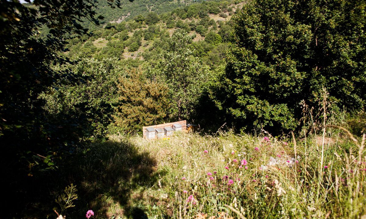 Photo of Outdoor in Roquedur