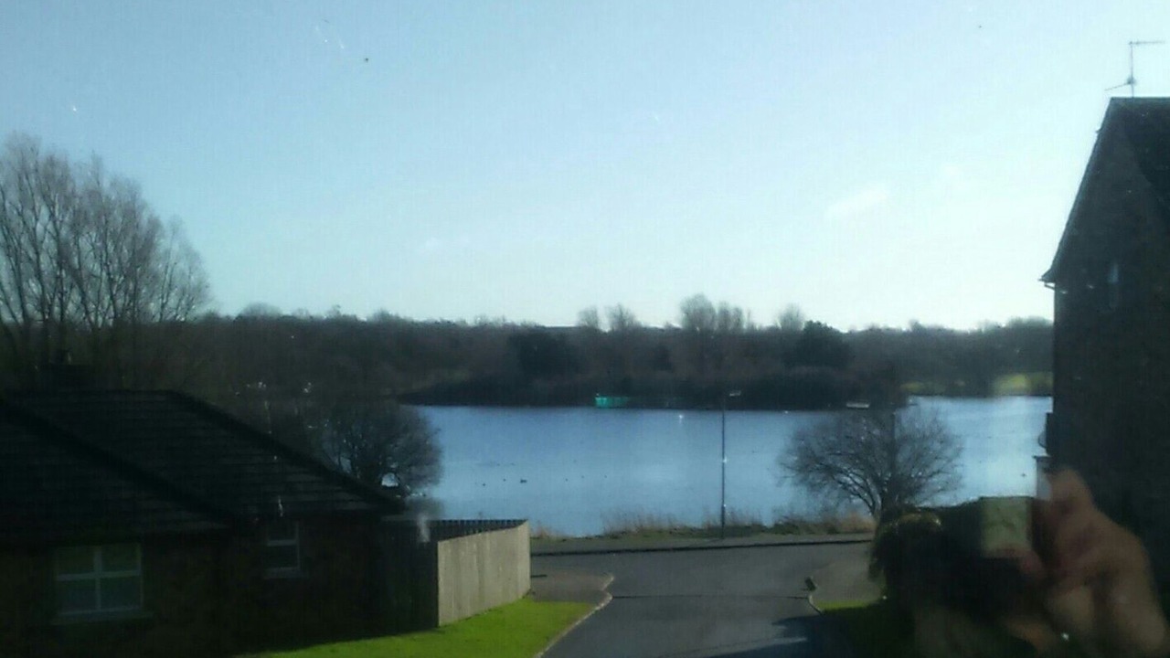 Photo of Others in Craigavon