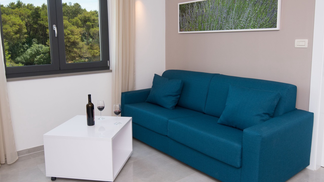 Photo of Livingroom in Premantura