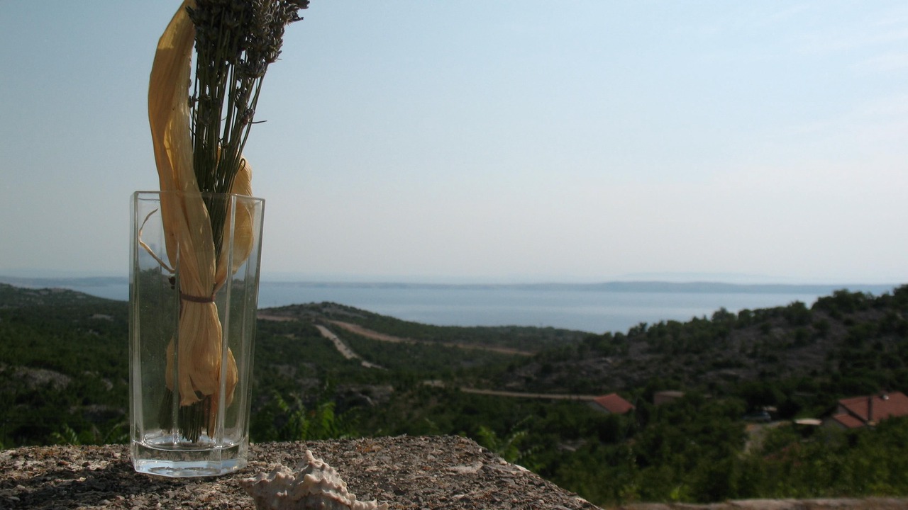 Photo of Outdoor in Jablanac