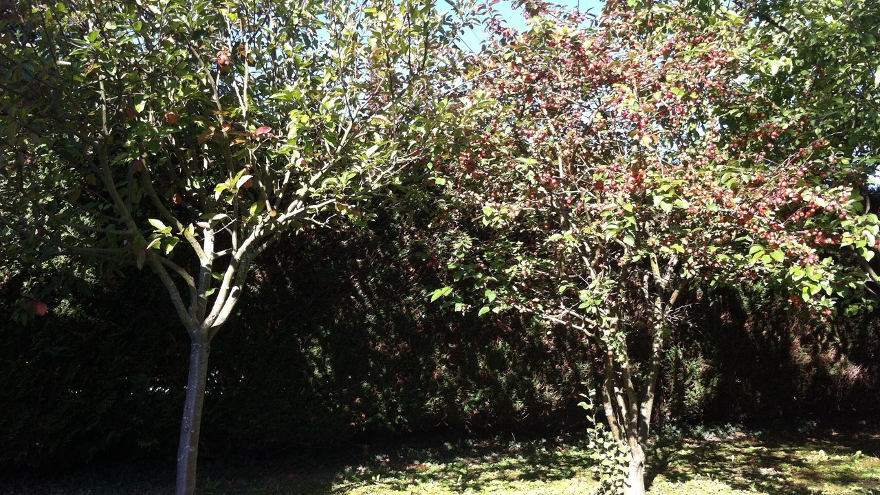 Photo of Outdoor in Bougival
