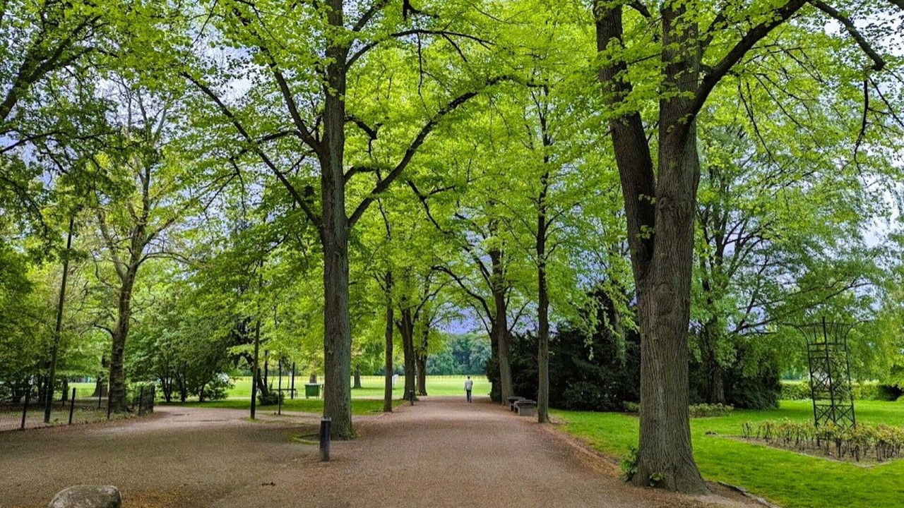 Photo of Outdoor in Osterbro