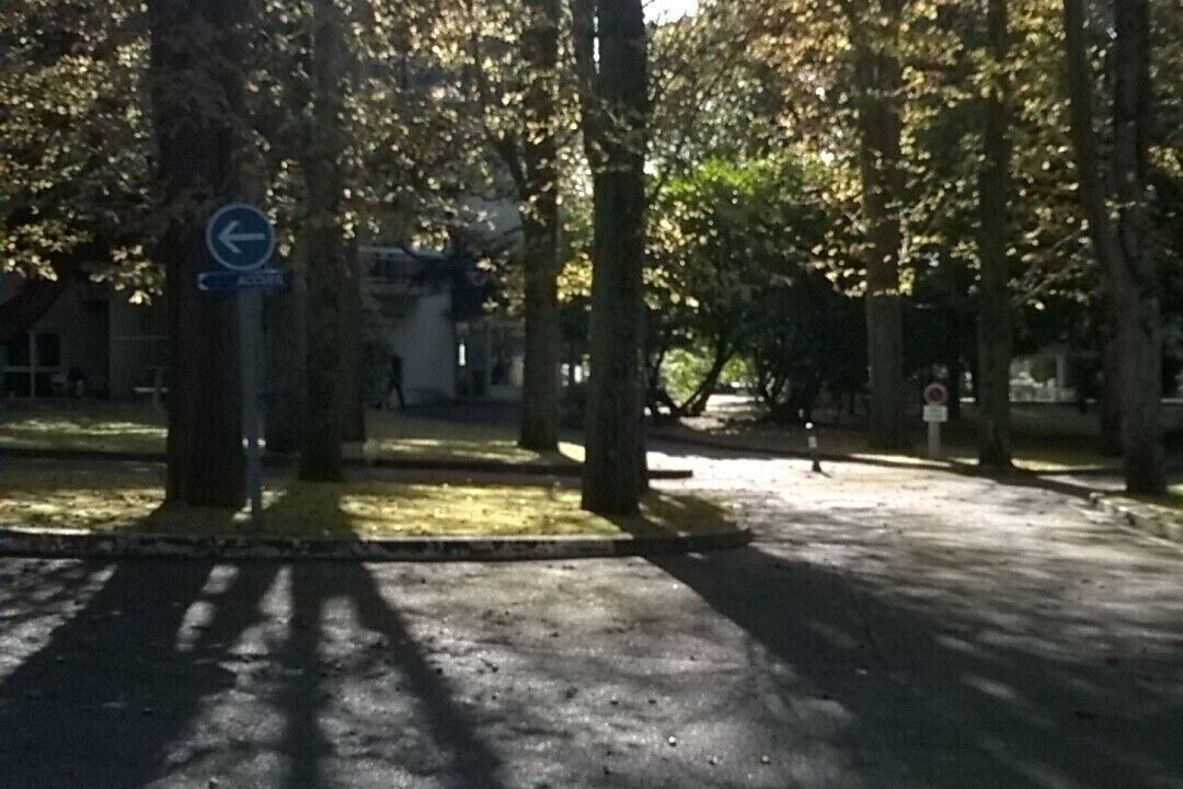 Photo of Outdoor in Tours