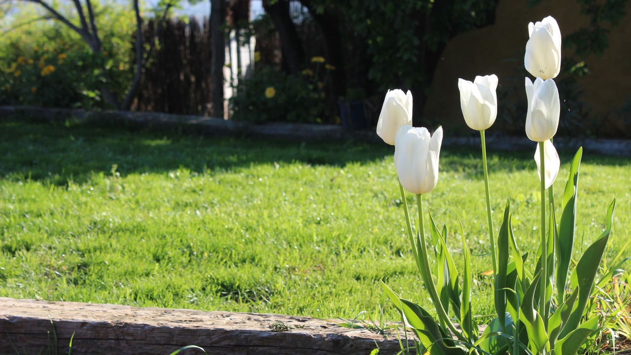 Photo of Outdoor in Sobrestany
