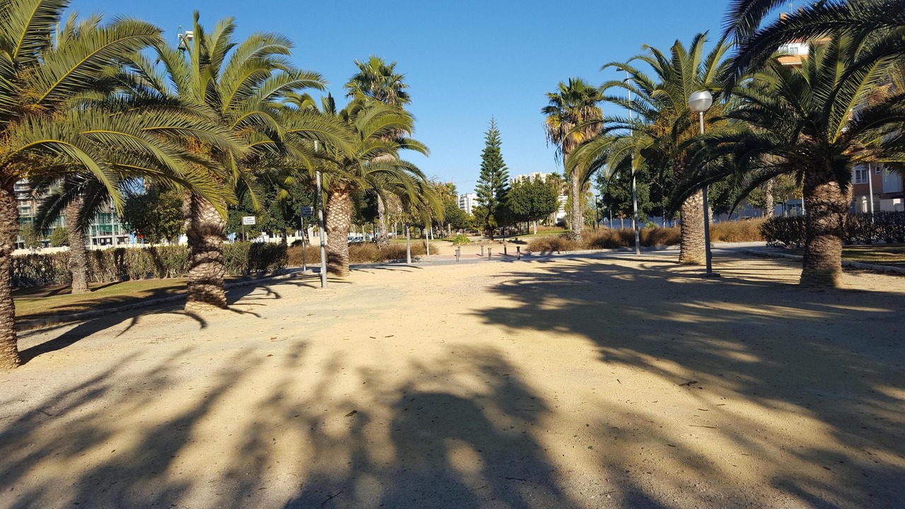 Photo of Outdoor in Playa de San Juan
