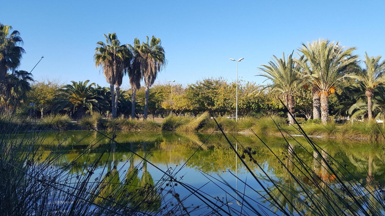 Photo of Outdoor in Playa de San Juan
