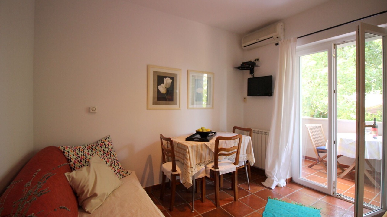 Photo of Livingroom in Antonci