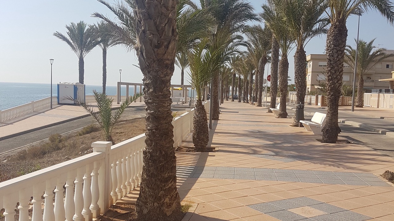 Photo of Outdoor in Torre de la Horadada