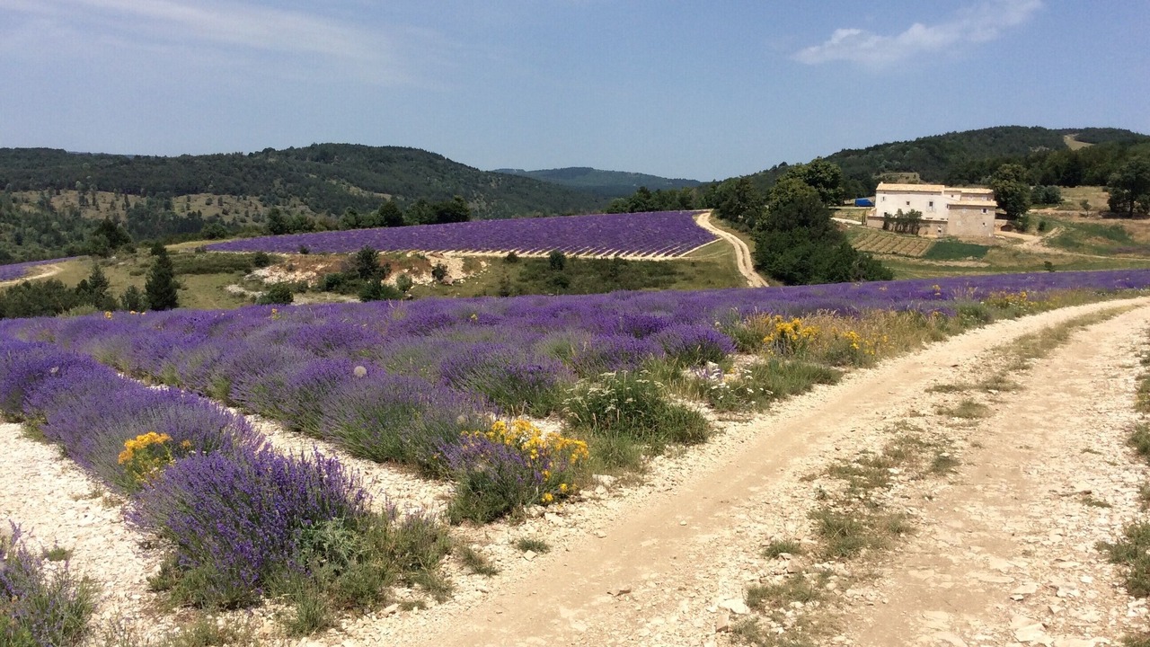 Photo of Outdoor in Redortiers