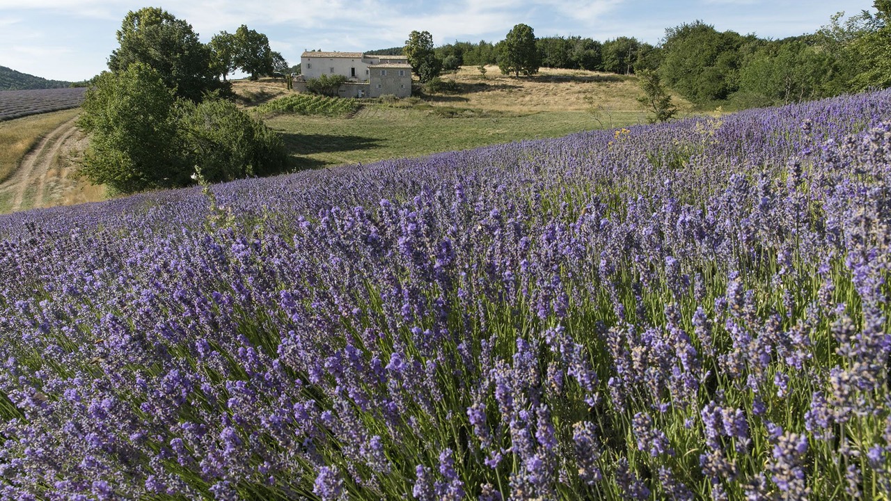 Photo of Outdoor in Redortiers