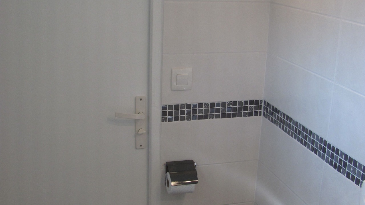 Photo of Bathroom in La Reorthe