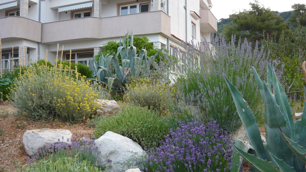 Photo of Outdoor in Barbat na Rabu