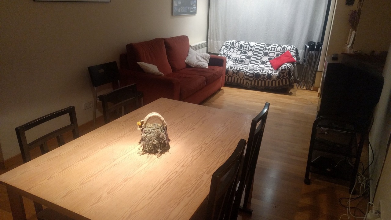 Photo of Livingroom in Esterri D'Aneu