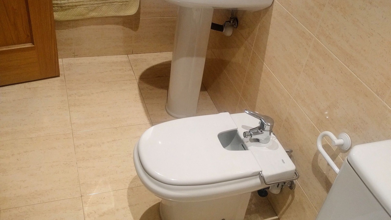 Photo of Bathroom in Esterri D'Aneu