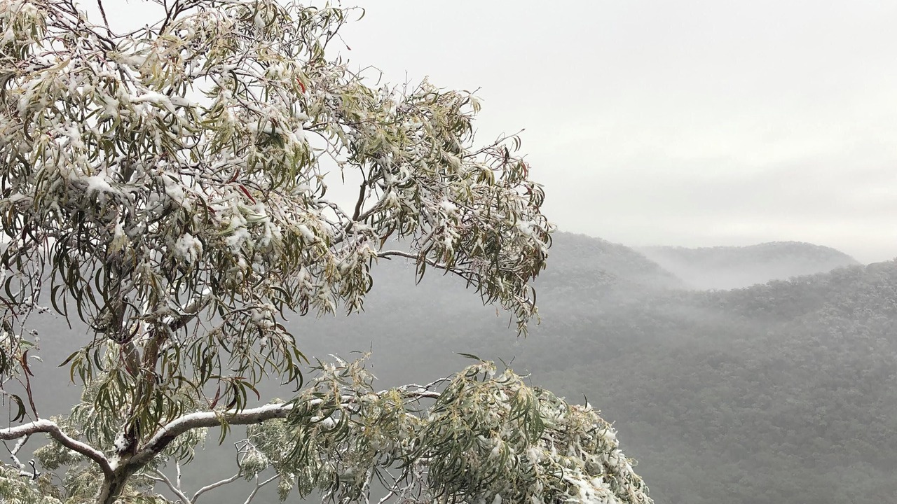 Photo of Others in Mount Victoria