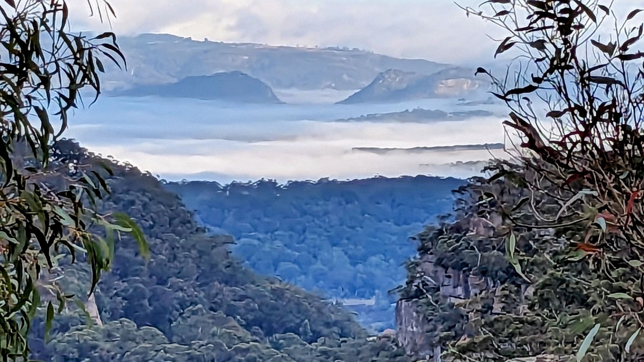 Photo of Others in Mount Victoria