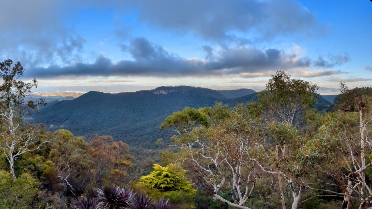 Photo of Others in Mount Victoria