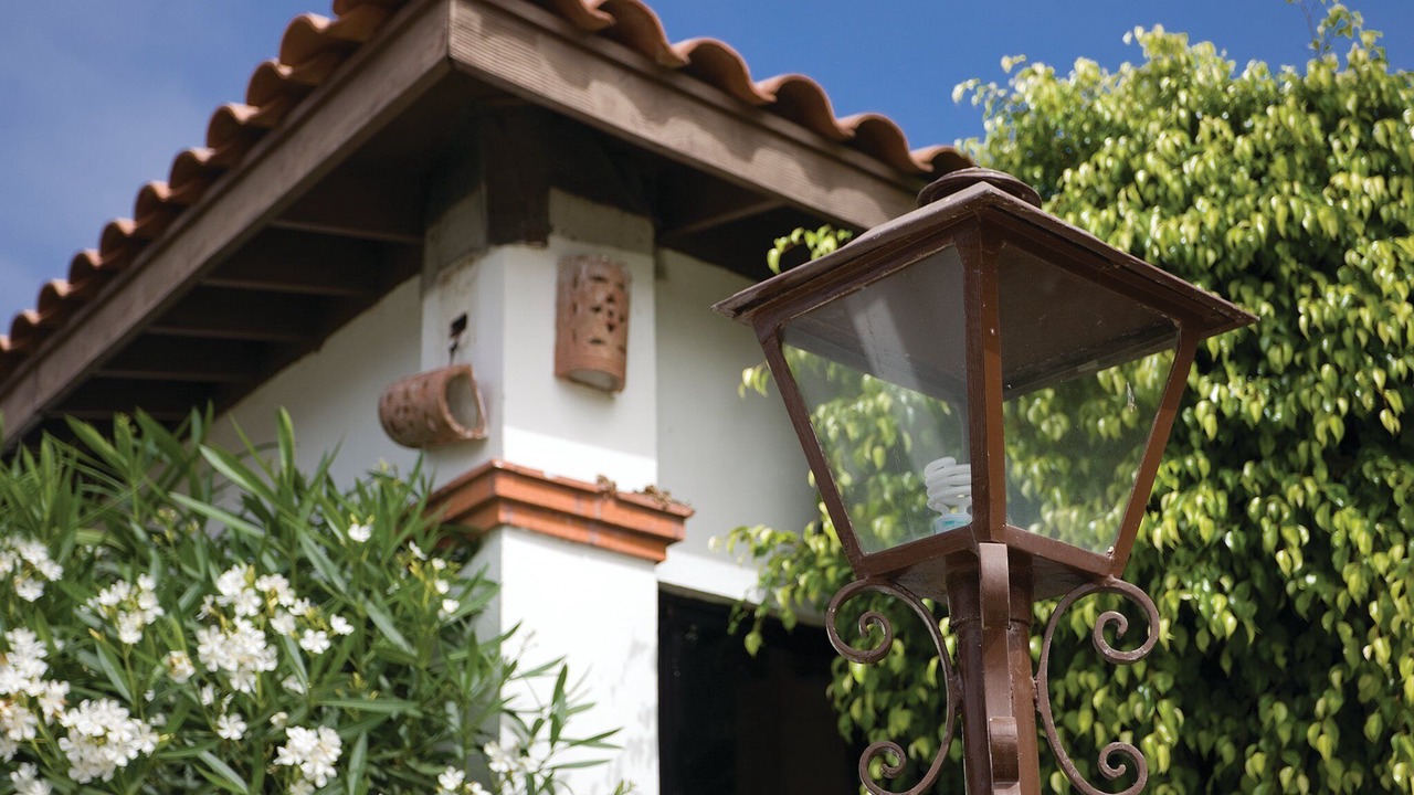 Photo of Outdoor in La Paloma