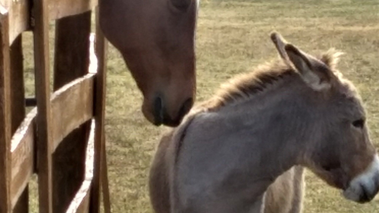 Photo of Outdoor in Loxahatchee