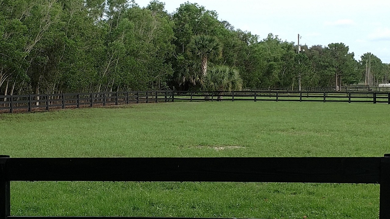 Photo of Others in Loxahatchee