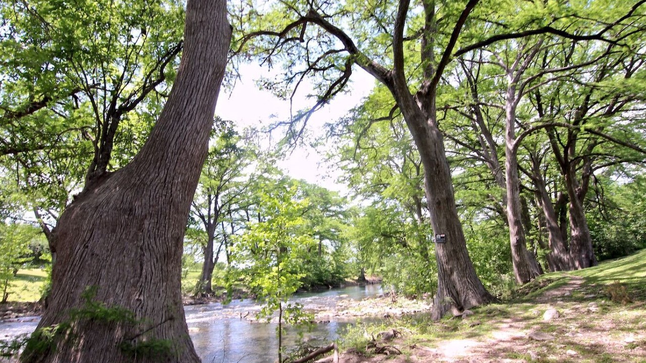 Photo of Others in New Braunfels