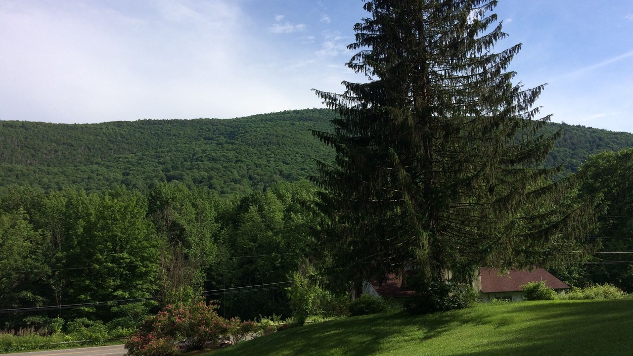 Photo of Outdoor in Shandaken