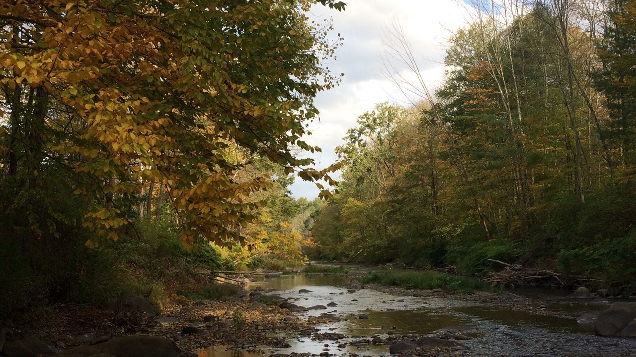 Photo of Others in Shandaken