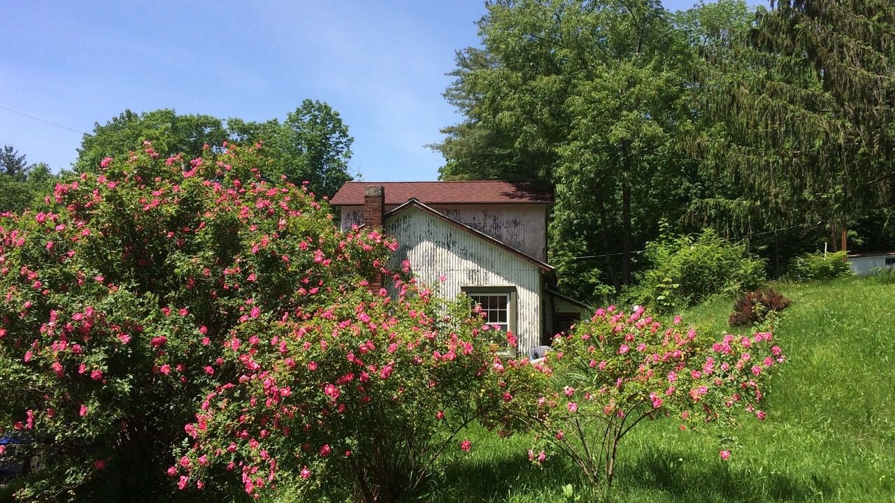 Photo of Outdoor in Shandaken