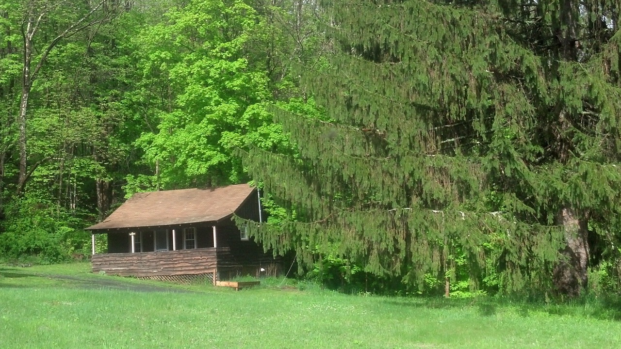 Photo of Others in Shandaken