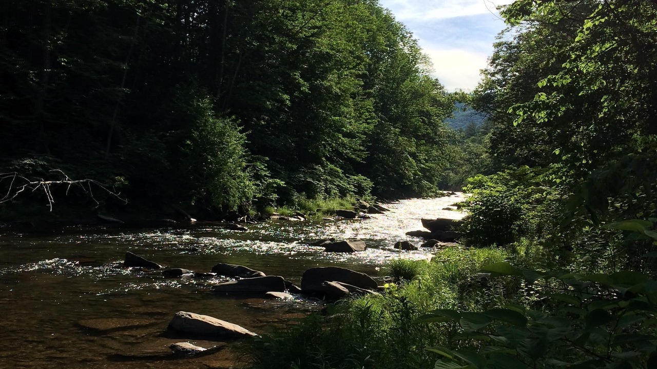 Photo of Others in Shandaken