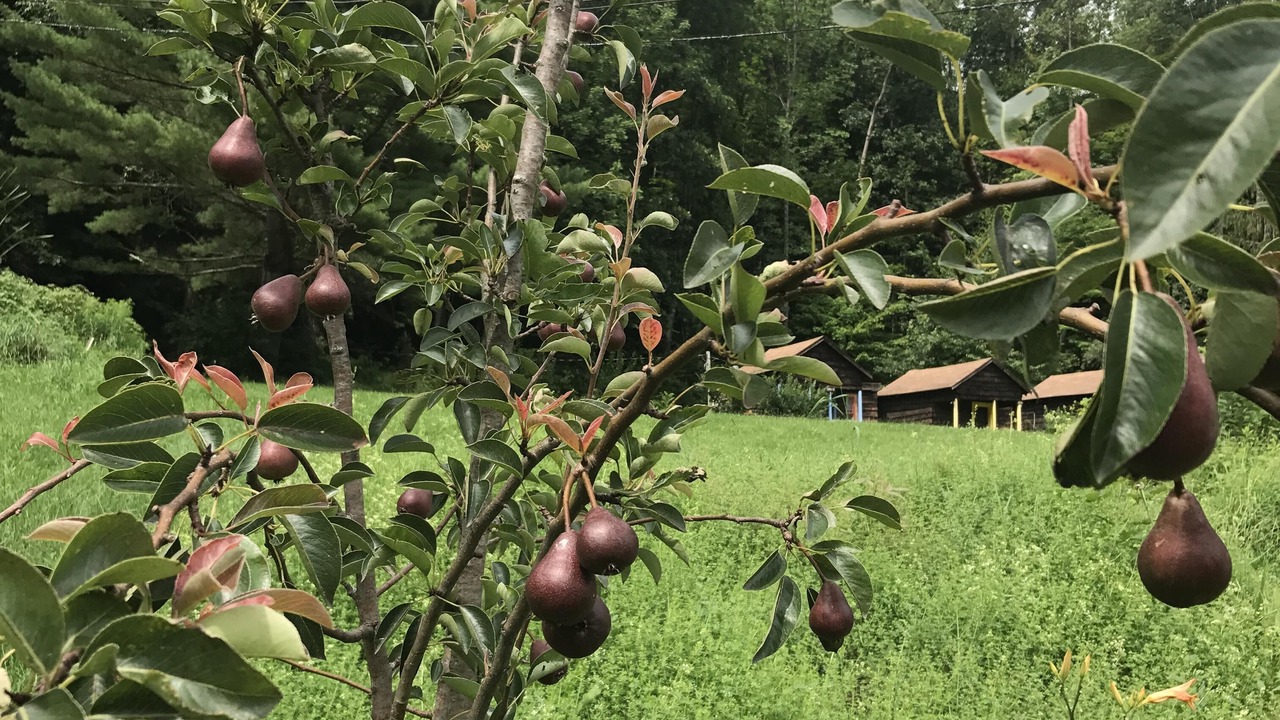 Photo of Outdoor in Shandaken
