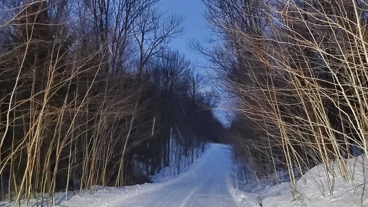 Photo of Others in Redfield