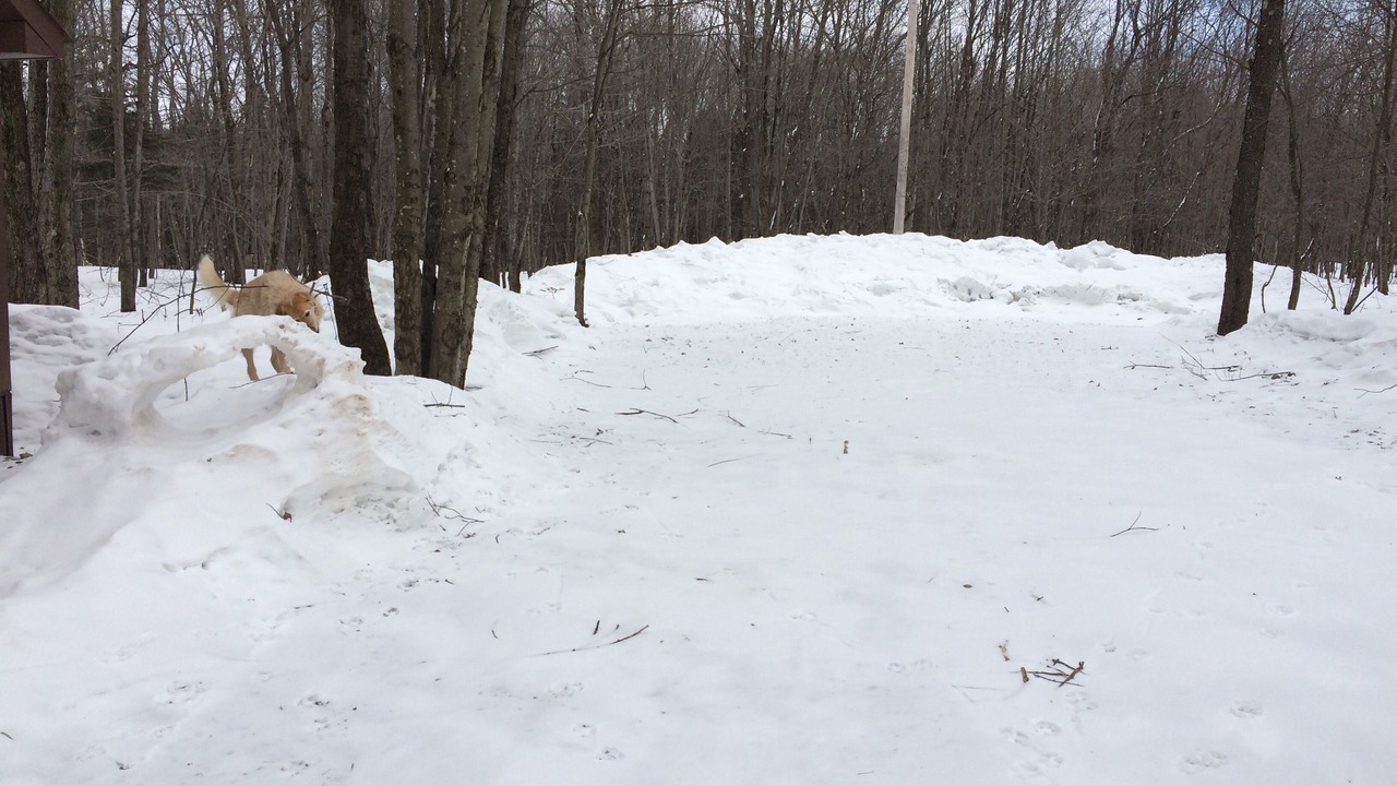 Photo of Others in Redfield