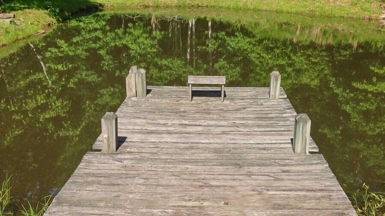 Photo of Outdoor in Franklin