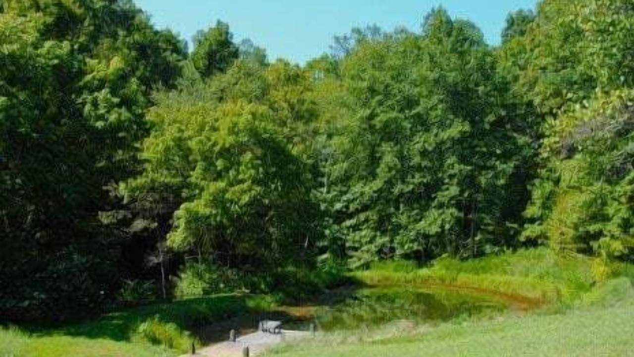 Photo of Outdoor in Franklin