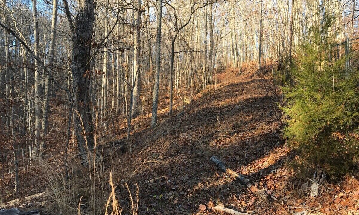 Photo of Outdoor in Franklin