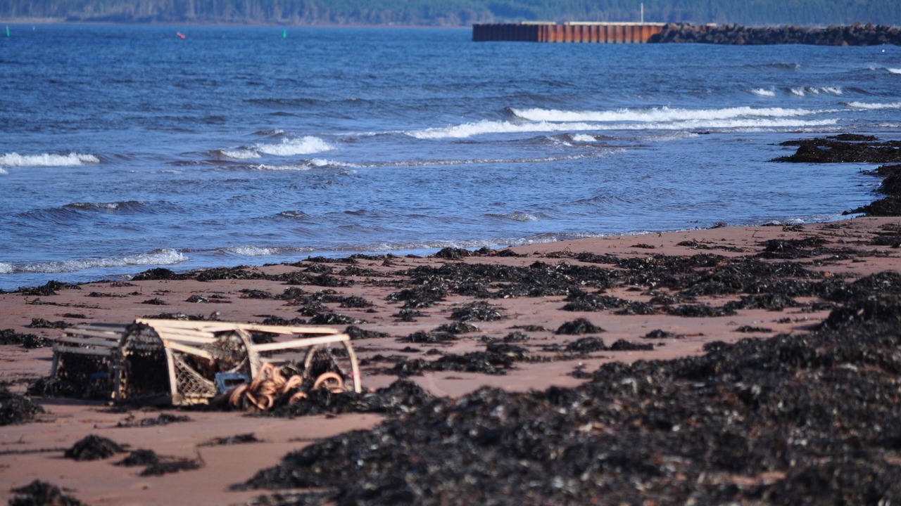 Photo of Others in North Rustico