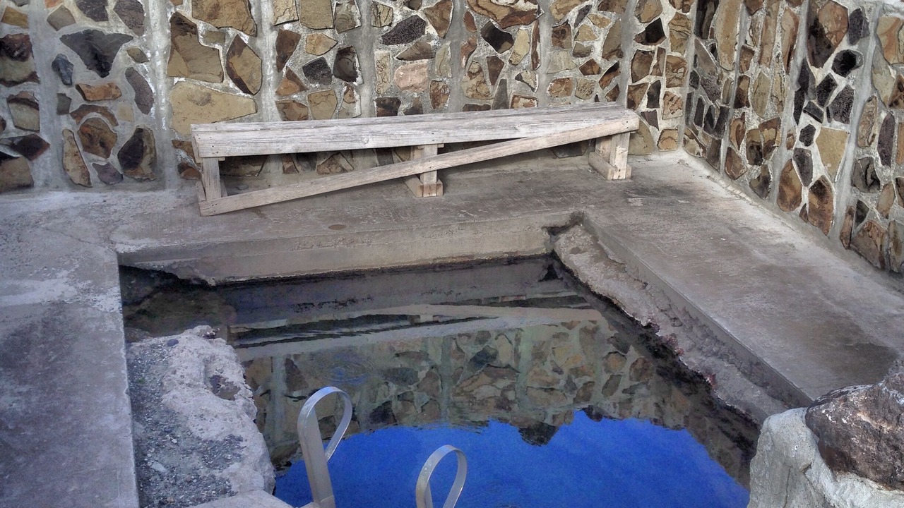 Photo of Others in Plush