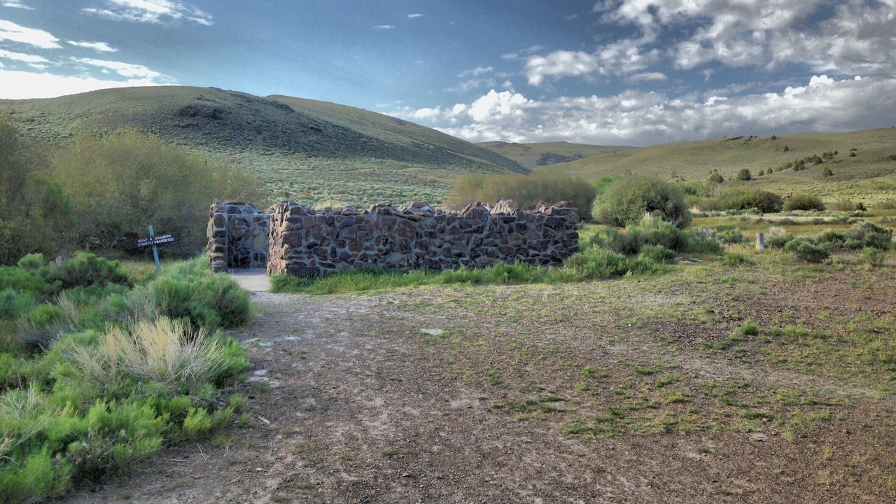 Photo of Others in Plush