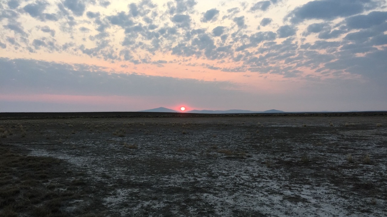 Photo of Others in Plush