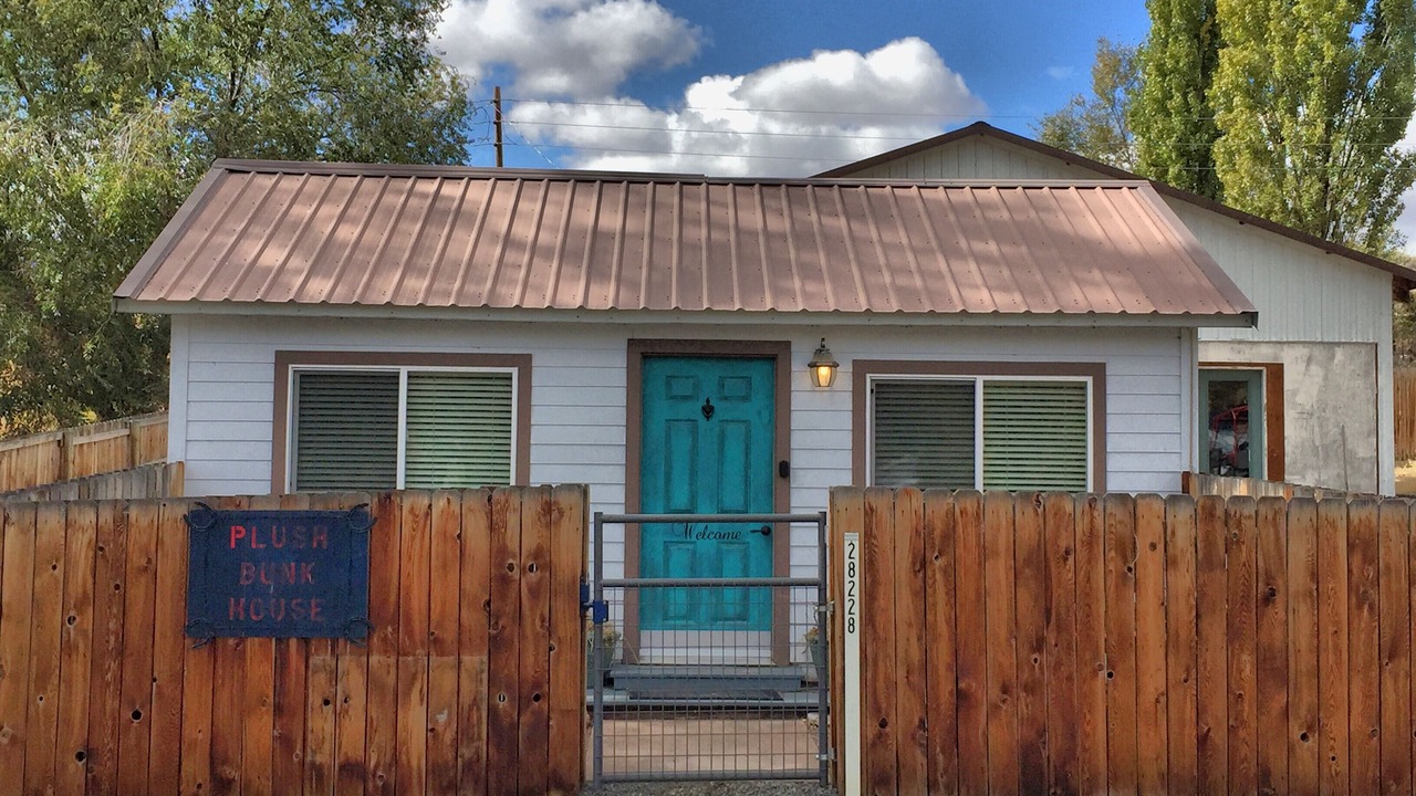 Photo of Others in Plush