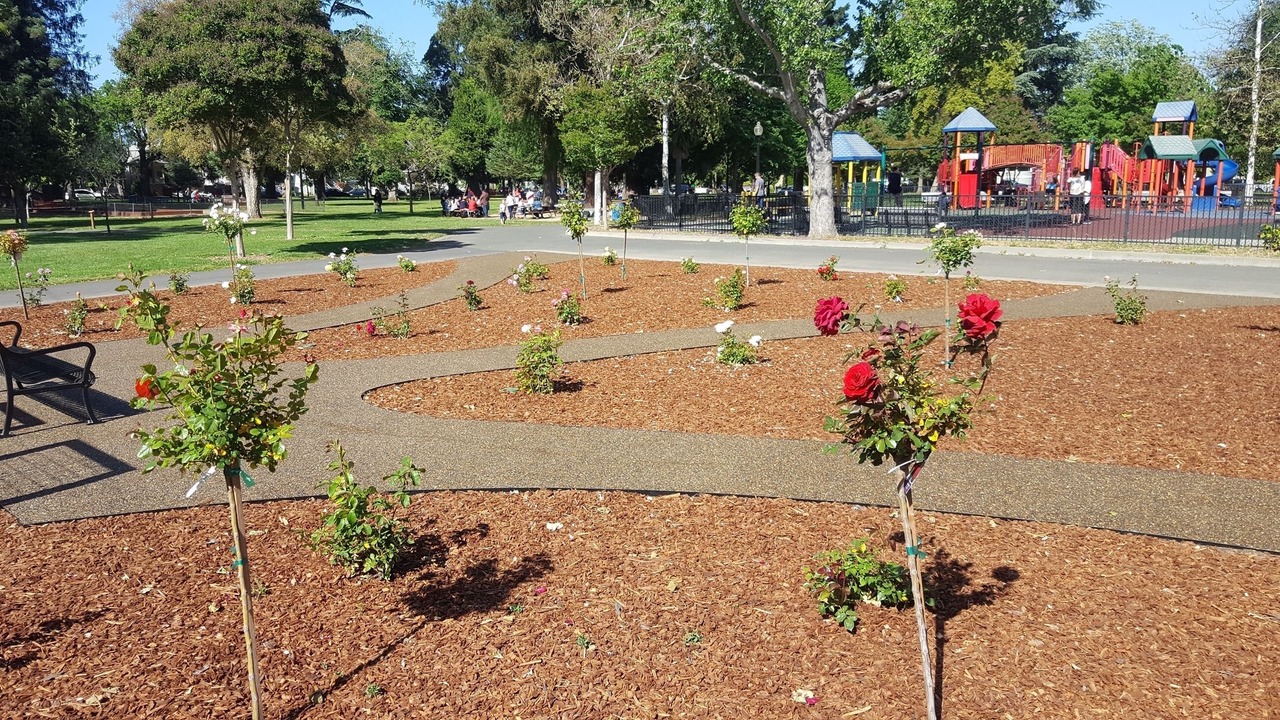 Photo of Outdoor in Napa